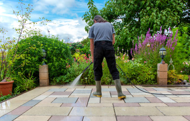 Best Sidewalk and Walkway Cleaning  in East Northport, NY